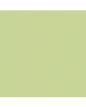 Granite Floor Tile TS5-603